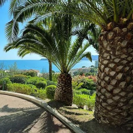 Apartment Piscine Vue Parking 4 Personnes Cannes